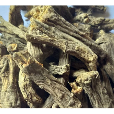 Gandrain (Smooth Angelica) - 50gms
